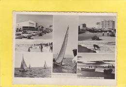 CPSM - CANET PLAGE - Voiliers , VoituresPanhard , Place , Cochon Sur La Plage - RARE - Photo Chauvin à Perpignan - Canet En Roussillon