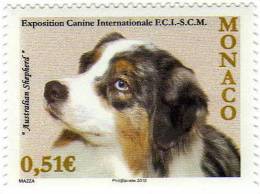 Monaco / Animals / Dog / Australian Shepard - Sonstige & Ohne Zuordnung