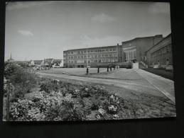 ST GHISLAIN ECOLE TECHNIQUE FEMININA - Saint-Ghislain