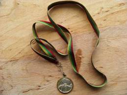 Sport Medal From Lithuania, Torch - Autres & Non Classés