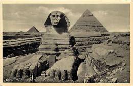 Egypte - Ref A187- Cairo - The Enigmatic Sphinx , Sentinel Of The Pyramids   - Carte Bon Etat - - Sphinx