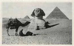 Egypte - Ref A183- Le Sphinx Et Pyramides - Editeur Lehnert Et Landrock Succ-ernst Landrock Cairo  - Carte Bon Etat  - - Sphynx