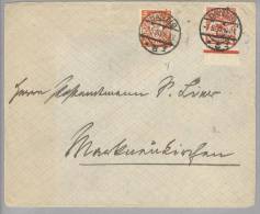 DR Danzig 1930-05-07 Brief Mit Mi#193y+193y - Storia Postale