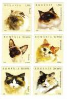 Romania / Animals / Cats - Unused Stamps