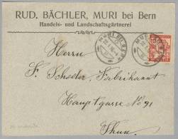 Schweiz Pro Juventute 1916-01-22 Muri Bei Bern Grosses Briefstück Mit Luzernerli - Cartas & Documentos