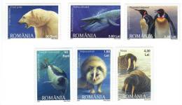 Romania / Polar Animals / Pinuine / Polar Bear / Sea Lion / - Unused Stamps