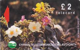Cyprus, CYP-M-42, 17CYPA, £2 Wild Flowers Of Akamas Forest, Gray Stripe On Backside, 2 Scans - Chipre