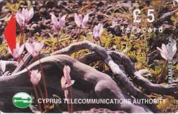 Cyprus, CYP-M-49, 18CYPB, £5 Wild Flowers Of Akamas Forest, Gray Stripe On Backside, 2 Scans - Zypern