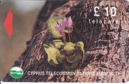 Cyprus, CYP-M-52, 18CYPC, £10 Wild Flowers Of Akamas Forest, Gray Stripe On Backside, 2 Scans. - Cipro