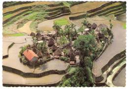 PHILIPPINES - A TYPICAL IFUGAO SETTLEMENT IN THE MIDDLE OF THE RICE TERRACES / THEMATIC STAMP-JEEPNEY - Philippines