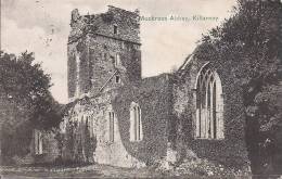 Cpa Killarney, Muckross Abbey - Kerry