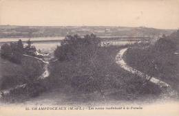 MAINE ET LOIRE CHAMPTOCEAUX LES ROUTES CONDUISANT A LA PATACHE Editeur J Nozais - Champtoceaux