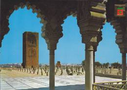 AFRIQUE,AFRIKA,AFRIQUE,MAROC,MOROCCO,MARRUECOS,RABAT,CAPITALE,SALE  ZEMMOUR ZAER,TOUR HASSAN,place Sainte - Rabat