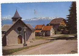 ST HILAIRE DU TOUVET-   L'Eglise - Chaîne De Belledonne  -     CPM Dentelée. - Saint-Hilaire-du-Touvet