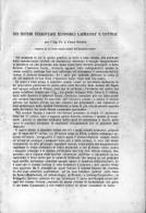 Articolo Del 1870,  "DEI SISTEMI FERROVIARII ECONOMICI LARMANJAT E COTTRAU"   12 Pp Ferrovia - Livres Anciens