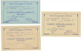 HERSTAL - Ecoles Communales Du Centre - Lot De 3 Cartes D'excellence - 1955/56 (Y136) - Diplômes & Bulletins Scolaires