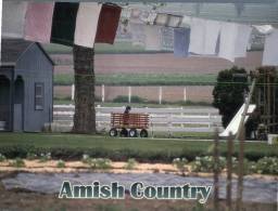 (666) Amish Tradition - Zonder Classificatie