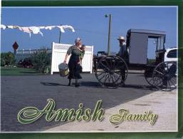 (666) Amish Tradition - Zonder Classificatie