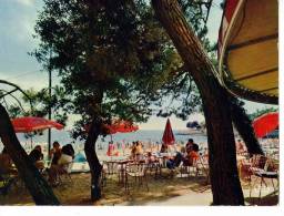 CPM  17        VAUX SUR MER       1977      LA PLAGE DE NAUZAN ET LA POTINIERE    TERRASSE DE CAFE - Vaux-sur-Mer
