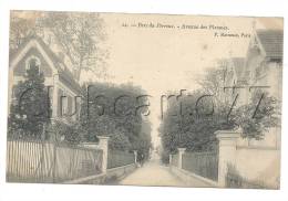 Le Perreux-sur-Marne (94) : L'avenue Des Platanes Dans Le Parc Du Perreux En 1910 (animé). - Wissant