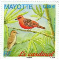 France / Mayotte / Bird / Cardinal - Autres & Non Classés