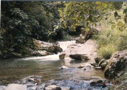 (300) Papua New Guinea - Papaousie Nouvelle Guinée - Papua New Guinea