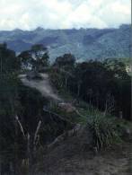 (300) Papua New Guinea - Papaousie Nouvelle Guinée - Papouasie-Nouvelle-Guinée