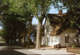 01024 NIEBLUM Auf FÖHR - Friesenhaus In Nieblum - Föhr