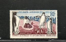 LOT 584 - T.A.A.F  PA N° 5 * (charnière) - Cote 60 € - PINGOUINS - Pinguini