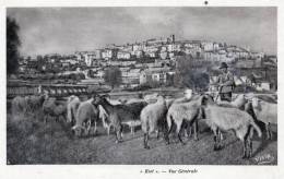 BIOT - Vue Générale - Biot