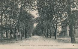 MONTLUEL - La Promenade Des Tilleuls - Montluel
