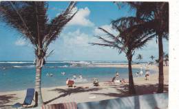 Puerto  Rico .  Scene  Of  Beach  Area  Facing  Cabanas ,  Caribe  Hilton  Hotel. - Sonstige & Ohne Zuordnung