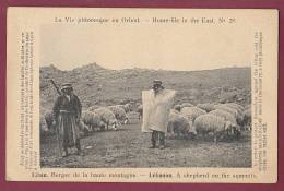 LIBAN - 060213 - Berger De La Haute Montagne - - Liban