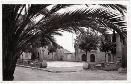 CPSM - PF - Biot - Place Du Général De Gaulle - Biot