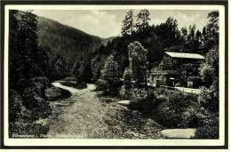 Schwarzatal Thüringer Wald  -  Das Schweizerhaus  -  Ansichtskarte Ca. 1937    (1552) - Gehren