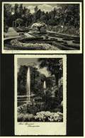 2 X Bad Pyrmont  -  Palmengarten ,  Ansichtskarten  Ca.1938     (1544) - Bad Pyrmont
