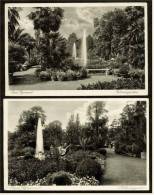 2 X Bad Pyrmont  -  Palmengarten ,  Ansichtskarte  Ca.1933     (1548) - Bad Pyrmont