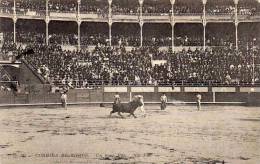 Corrida A BAYONNE - Un Buen Par      (51829) - Tauri