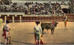 Corrida De Toros Un Par De Banderiloloas     (51834) - Tauri