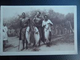 MALI -    NIAFUNKE - ( PECHEURS ) Ces Poissons, Des Capitaines... - Mali