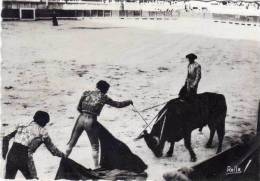 Corrida A NIMES - Course De Taureaux Aux Arènes Rompaines - Le Descabello(51836) - Tauri