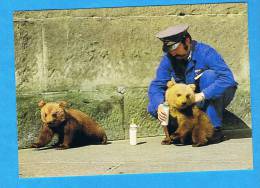 CP- Oursons De La Fosse Aux Ours Avec Gardien, Biberon-Berne-Bern - Bears