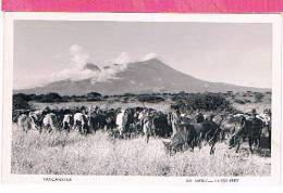 Tanzanie TANGANYIKA Mont Meru - Tanzania