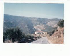 Portugal Cor 20653 - TABUAÇO - FOTOGRAFIA PARTICULAR - NOT POSTCARD !!! PHOTO 1990 - Viseu