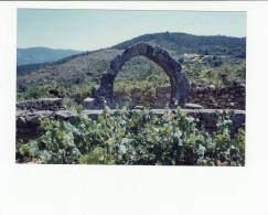 Portugal Cor 20655 - TAROUCA - FOTOGRAFIA PARTICULAR - NOT POSTCARD !!! PHOTO 1990 - Viseu