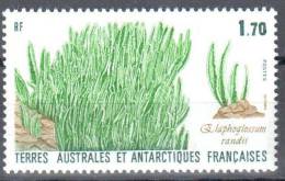 TAAF 1988 - Antarctics - Mi 233 - MNH - Unused Stamps