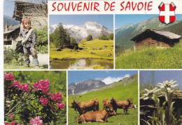 Cp , RÉGIONS , RHÔNE-ALPES , Souvenir De Savoie , Multi-Vues , Vaches , Petit Ramoneur , Détails Au Verso - Rhône-Alpes