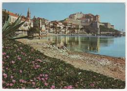 Delcampe - CP CALVI, LE PORT ET LA CITADELLE, HAUTE CORSE 20 - Calvi
