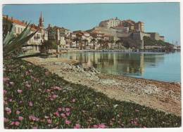 Delcampe - CP CALVI, LE PORT ET LA CITADELLE, HAUTE CORSE 20 - Calvi