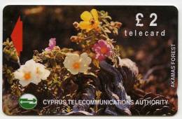 PHONECARD : CYPRUS TELECOMMUNICATIONS AUTHORITY £2 - AKAMAS FOREST - Zypern